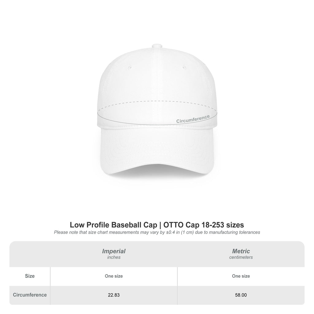 FLEX  Low-Profile Baseball Cap – Bold Metallic Streetwear Hat