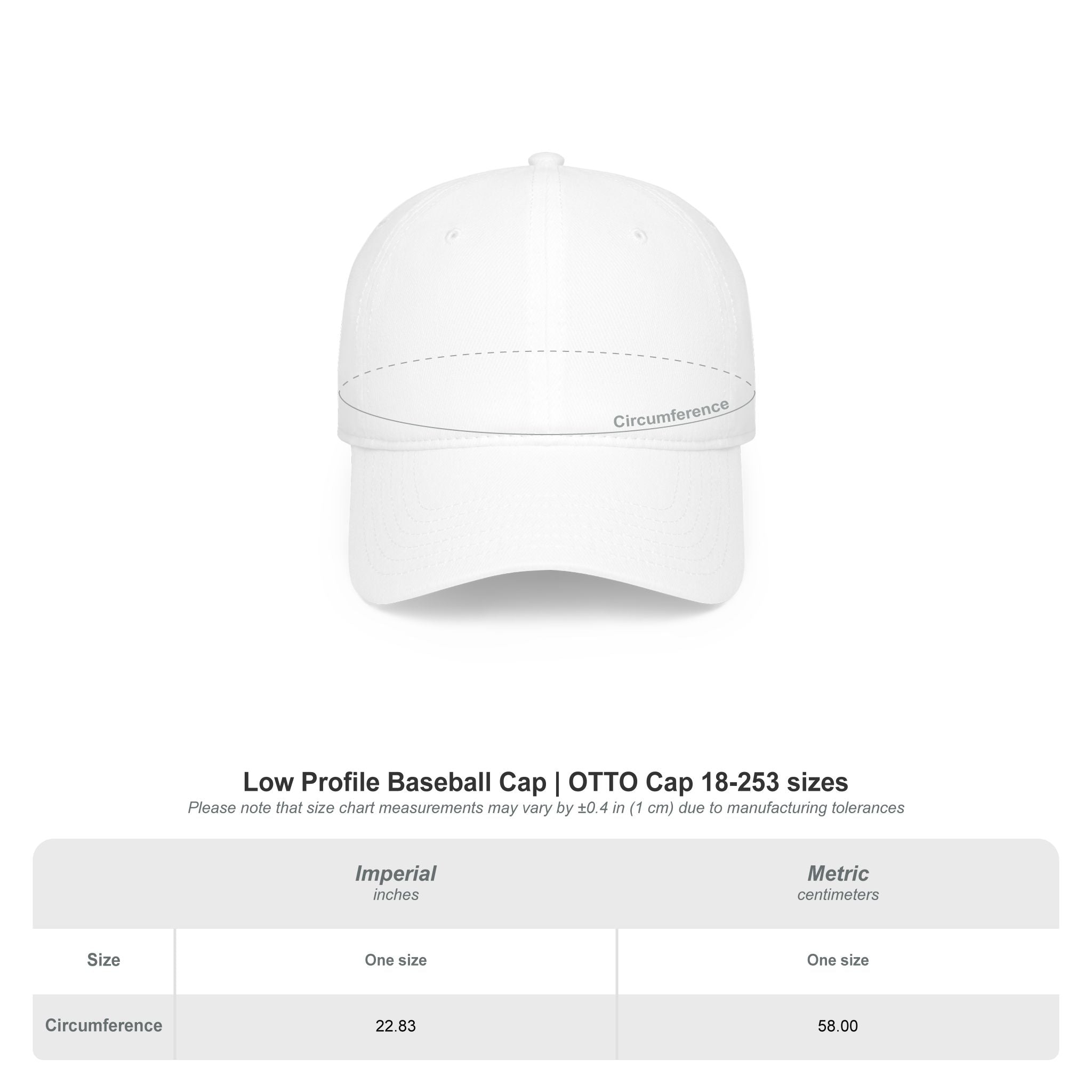 FLEX  Low-Profile Baseball Cap – Bold Metallic Streetwear Hat